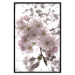Poster Cherry Blossoms - tree with pink flowers on a contrasting white background 125868 additionalThumb 18
