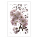 Poster Cherry Blossoms - tree with pink flowers on a contrasting white background 125868 additionalThumb 25