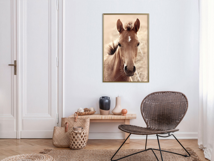 Wall Poster Bright Mane - portrait of a brown animal against a golden nature background 126868 additionalImage 7