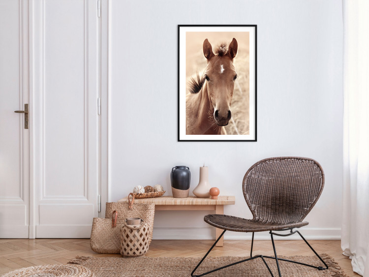 Wall Poster Bright Mane - portrait of a brown animal against a golden nature background 126868 additionalImage 19
