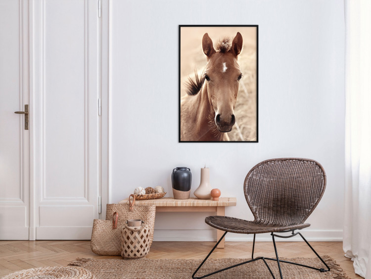 Wall Poster Bright Mane - portrait of a brown animal against a golden nature background 126868 additionalImage 4