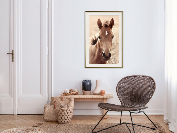 Wall Poster Bright Mane - portrait of a brown animal against a golden nature background 126868 additionalImage 24