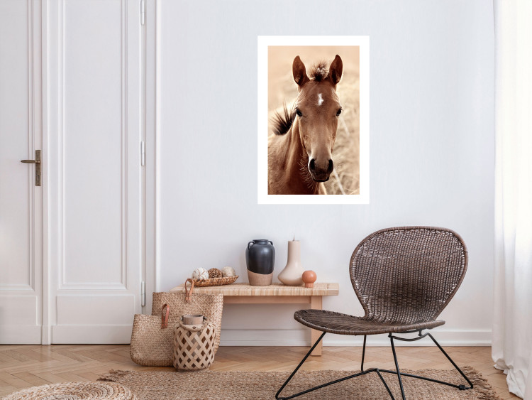 Wall Poster Bright Mane - portrait of a brown animal against a golden nature background 126868 additionalImage 5