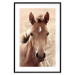 Wall Poster Bright Mane - portrait of a brown animal against a golden nature background 126868 additionalThumb 17