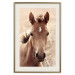 Wall Poster Bright Mane - portrait of a brown animal against a golden nature background 126868 additionalThumb 26