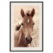 Wall Poster Bright Mane - portrait of a brown animal against a golden nature background 126868 additionalThumb 27