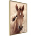 Wall Poster Bright Mane - portrait of a brown animal against a golden nature background 126868 additionalThumb 12