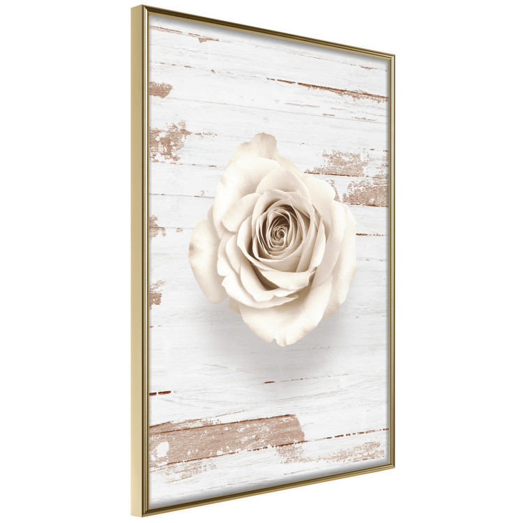 Poster Pastel Whirl - white rose flower on background of light wooden planks 128068 additionalImage 14