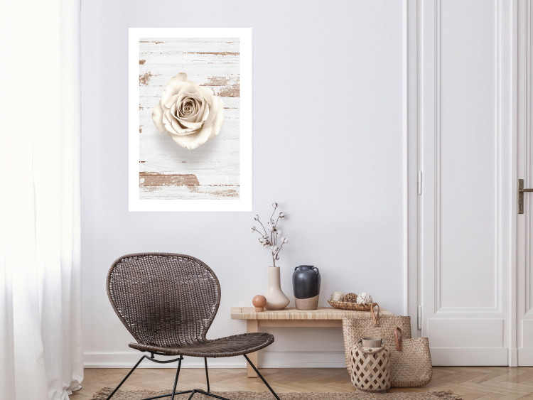 Poster Pastel Whirl - white rose flower on background of light wooden planks 128068 additionalImage 3
