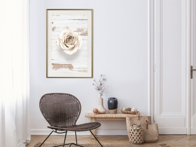 Poster Pastel Whirl - white rose flower on background of light wooden planks 128068 additionalImage 22