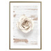 Poster Pastel Whirl - white rose flower on background of light wooden planks 128068 additionalThumb 14