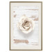 Poster Pastel Whirl - white rose flower on background of light wooden planks 128068 additionalThumb 20