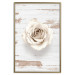 Poster Pastel Whirl - white rose flower on background of light wooden planks 128068 additionalThumb 17