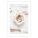 Poster Pastel Whirl - white rose flower on background of light wooden planks 128068 additionalThumb 19