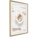 Poster Pastel Whirl - white rose flower on background of light wooden planks 128068 additionalThumb 3