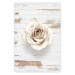 Poster Pastel Whirl - white rose flower on background of light wooden planks 128068