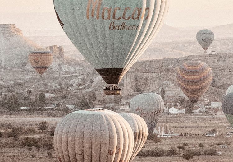 Wall Poster Magical Journey - landscape overlooking stone peaks and hot air balloons 129468 additionalImage 6