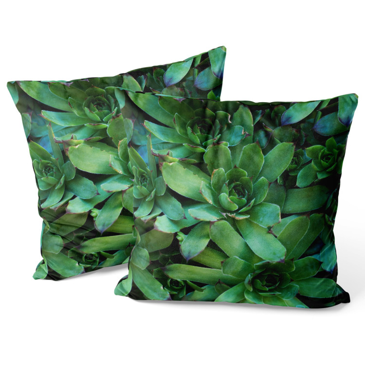 Decorative Velor Pillow Flower bed stars - a plant composition with rich detailing 147068 additionalImage 3
