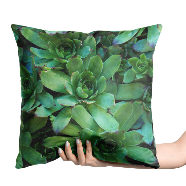 Decorative Velor Pillow Flower bed stars - a plant composition with rich detailing 147068 additionalImage 2