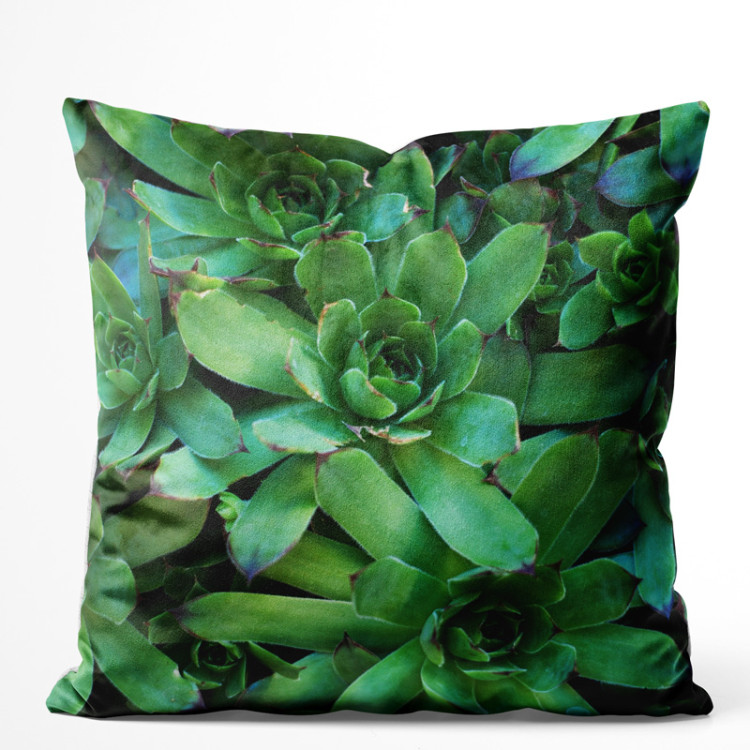 Decorative Velor Pillow Flower bed stars - a plant composition with rich detailing 147068
