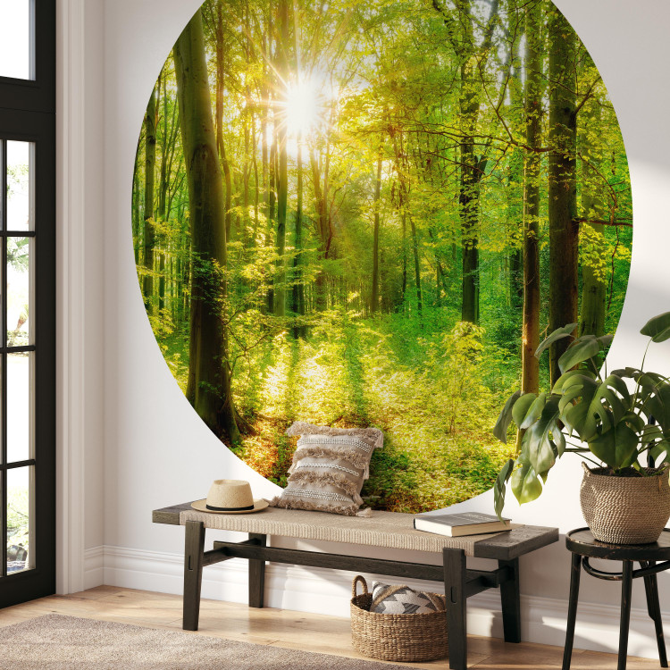 Round wallpaper Deciduous Forest - Spectacular Sunrise Between the Trees 149168 additionalImage 3