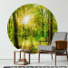 Round wallpaper Deciduous Forest - Spectacular Sunrise Between the Trees 149168 additionalThumb 2