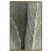 Poster Sage Plant - Close-up of Rough Leaves 150068 additionalThumb 18
