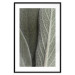 Poster Sage Plant - Close-up of Rough Leaves 150068 additionalThumb 19