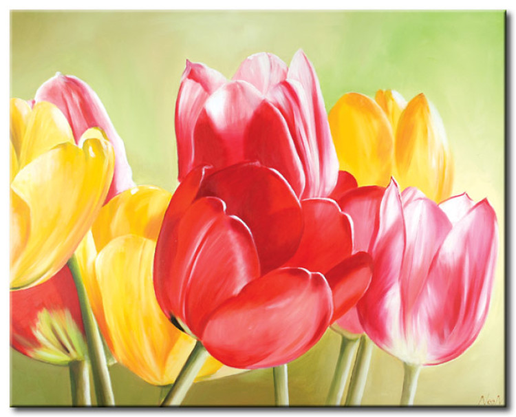 Canvas Freshness of Tulips (1-piece) - Colourful flowers on a green background 48668