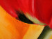 Canvas Freshness of Tulips (1-piece) - Colourful flowers on a green background 48668 additionalThumb 4