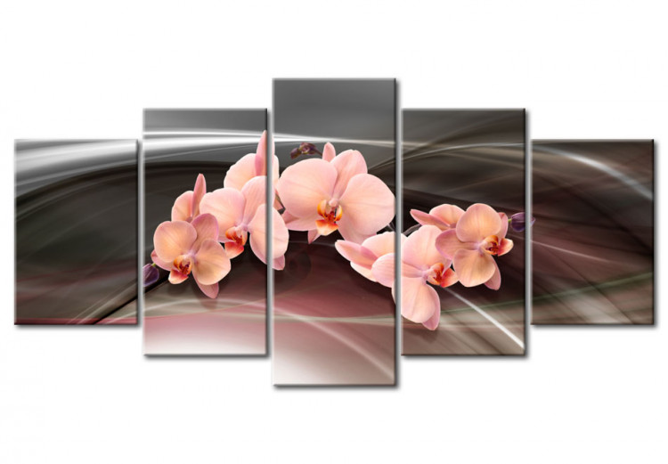 Canvas Print A pink orchid on a dark background 55568