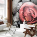 Photo Wallpaper Abstract Rose - Background with Pieces of Gray Stone and Red Sphere 60968
