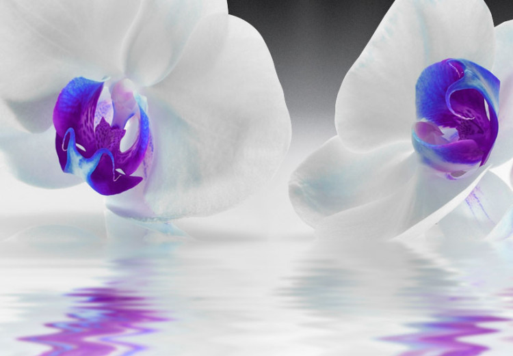 Canvas  Water Orchids 63968 additionalImage 4