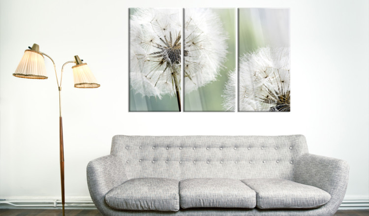 Print On Glass Fluffy Dandelions [Glass] 92568 additionalImage 3
