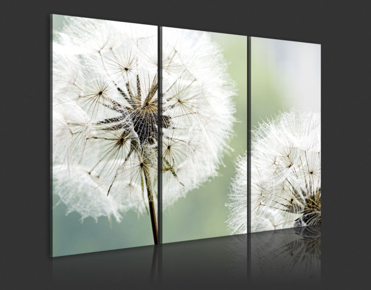 Print On Glass Fluffy Dandelions [Glass] 92568 additionalImage 6