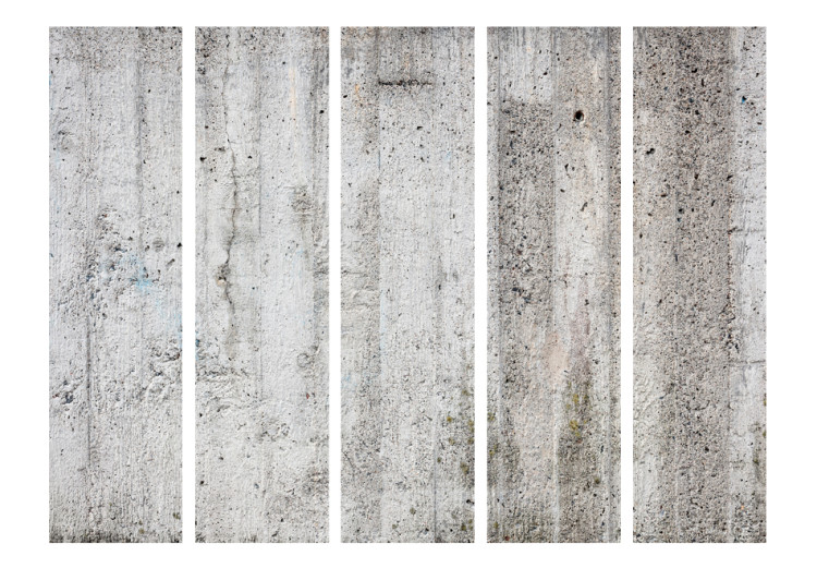 Room Separator Gray Emperor II - urban concrete texture in light gray color 95468 additionalImage 3