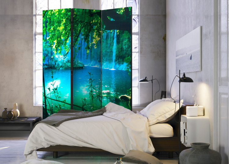 Room Divider Kursunlu Waterfalls - landscape of nature overlooking the lake and forest 95568 additionalImage 2