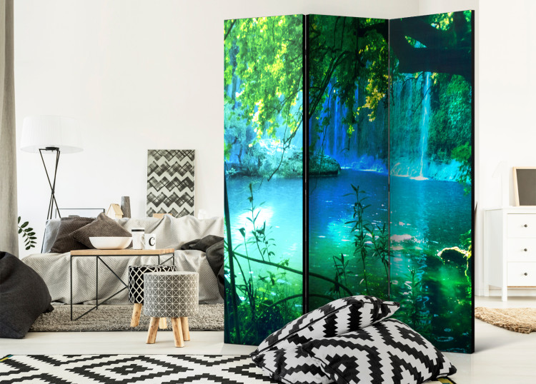Room Divider Kursunlu Waterfalls - landscape of nature overlooking the lake and forest 95568 additionalImage 4