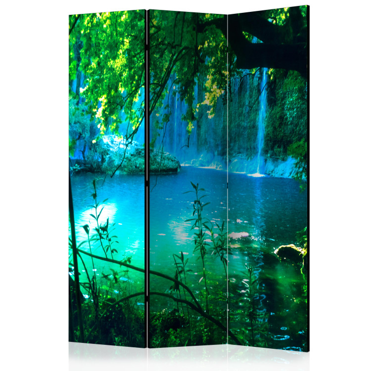 Room Divider Kursunlu Waterfalls - landscape of nature overlooking the lake and forest 95568