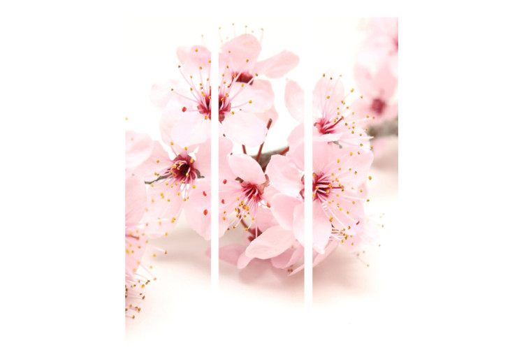 Room Divider Screen Cherry Blossom - pink oriental plant on a white background in a Zen motif 96068 additionalImage 3
