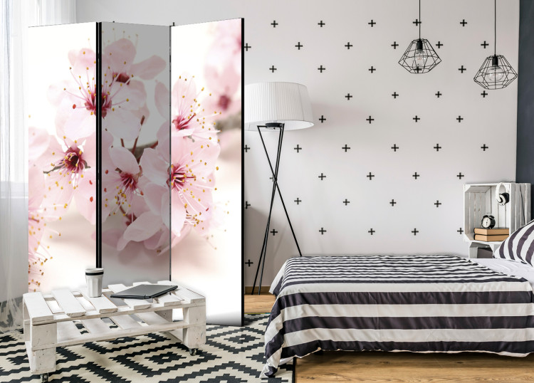 Room Divider Screen Cherry Blossom - pink oriental plant on a white background in a Zen motif 96068 additionalImage 2