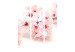 Room Divider Screen Cherry Blossom - pink oriental plant on a white background in a Zen motif 96068 additionalThumb 3