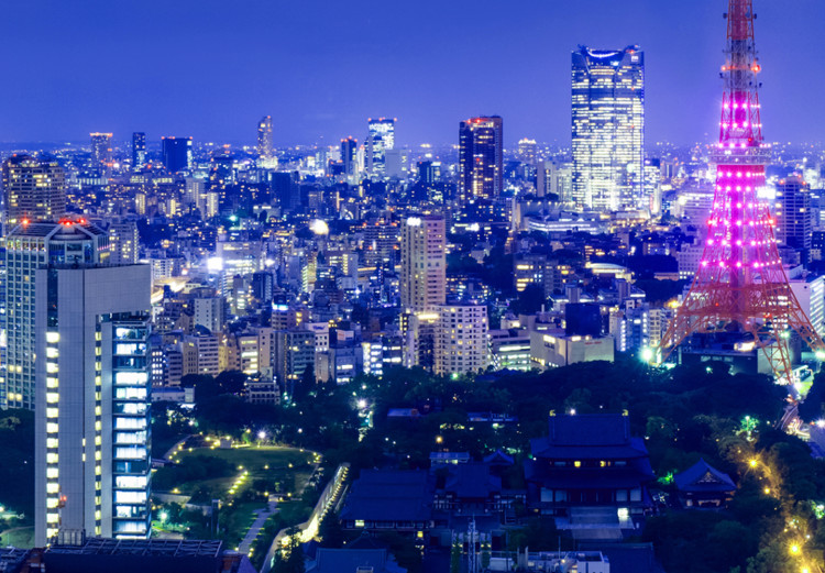 Canvas Print Tokyo: Modern City (1-piece) - Night Over Tokyo's Skyscrapers 98568 additionalImage 5