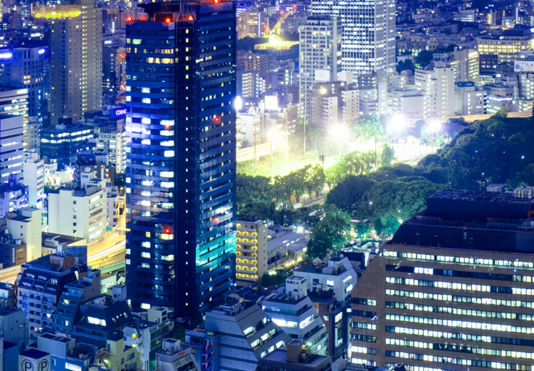 Canvas Print Tokyo: Modern City (1-piece) - Night Over Tokyo's Skyscrapers 98568 additionalImage 4