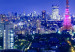 Canvas Print Tokyo: Modern City (1-piece) - Night Over Tokyo's Skyscrapers 98568 additionalThumb 5