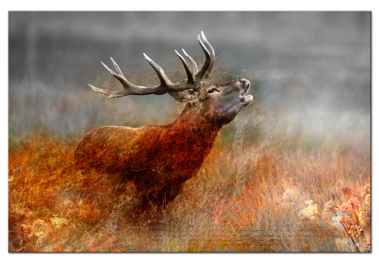 Canvas Roaring Deer 105778