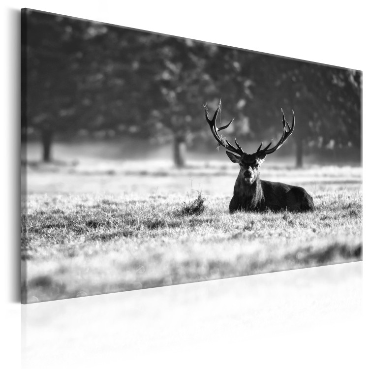 Canvas Print Lying Deer (1-piece) - Scandinavian Landscape with Stag in Field 106078 additionalImage 2