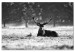 Canvas Print Lying Deer (1-piece) - Scandinavian Landscape with Stag in Field 106078