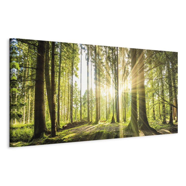 Canvas Print Daylight (1 Part) Wide Green 106978 additionalImage 2