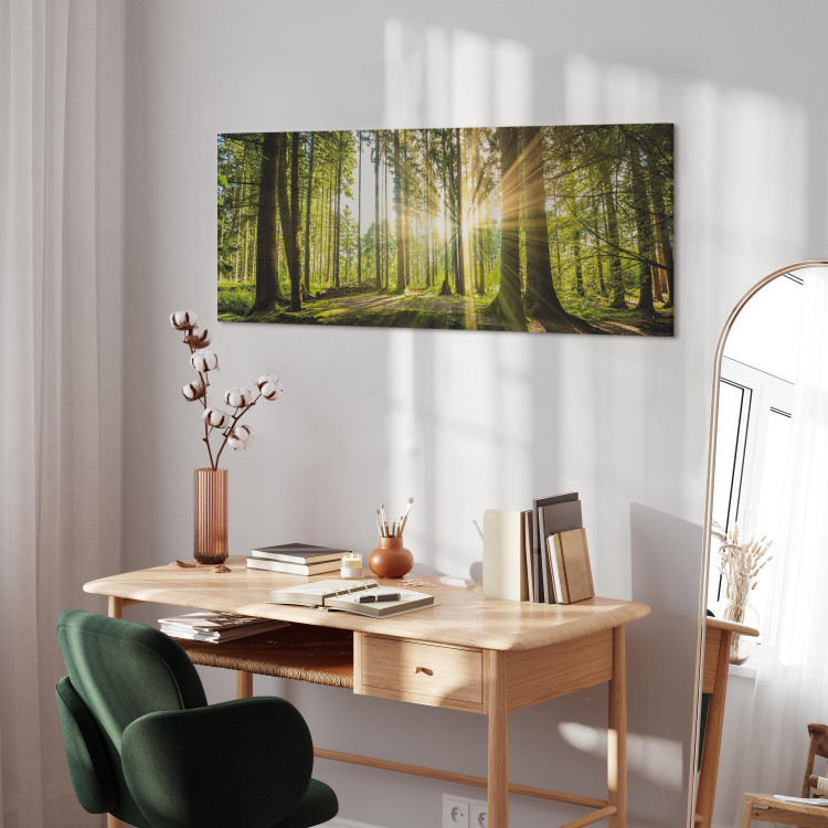 Canvas Print Daylight (1 Part) Wide Green 106978 additionalImage 5